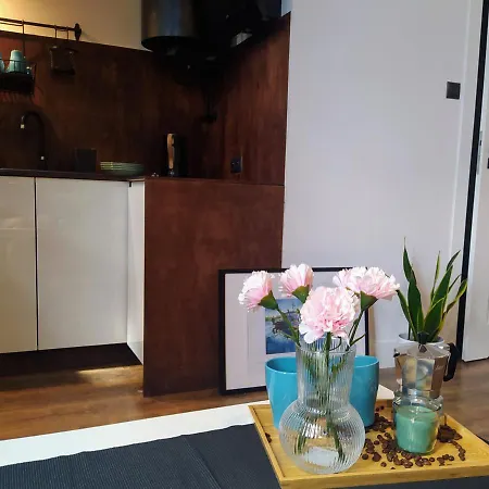 Studio W Centrum Bydgoszczy Esterno foto
