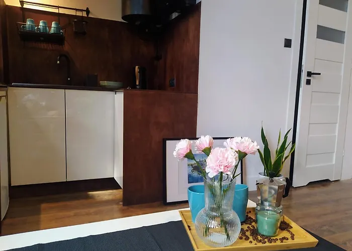 Studio W Centrum Bydgoszczy