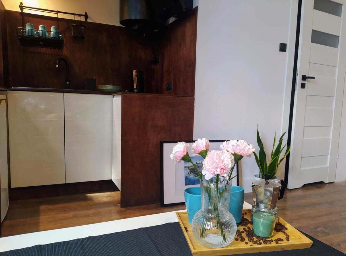 W Centrum Bydgoszczy Apartment